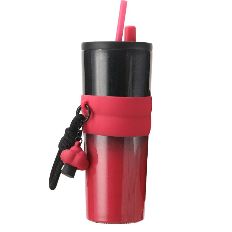 Travel Vacuum Water Bottle with Lid and Straw Cover